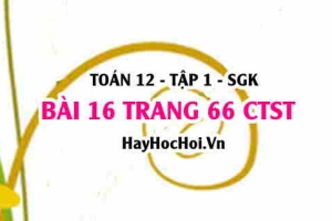 Bài 16 trang 66 Toán 12 tập 1 Chân trời sáng tạo